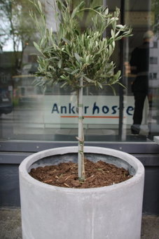 Anker Hostel, Oslo, Норвегия