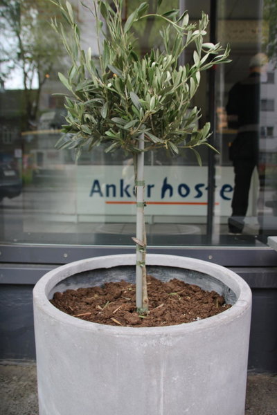 Anker Hostel, Oslo, Норвегия