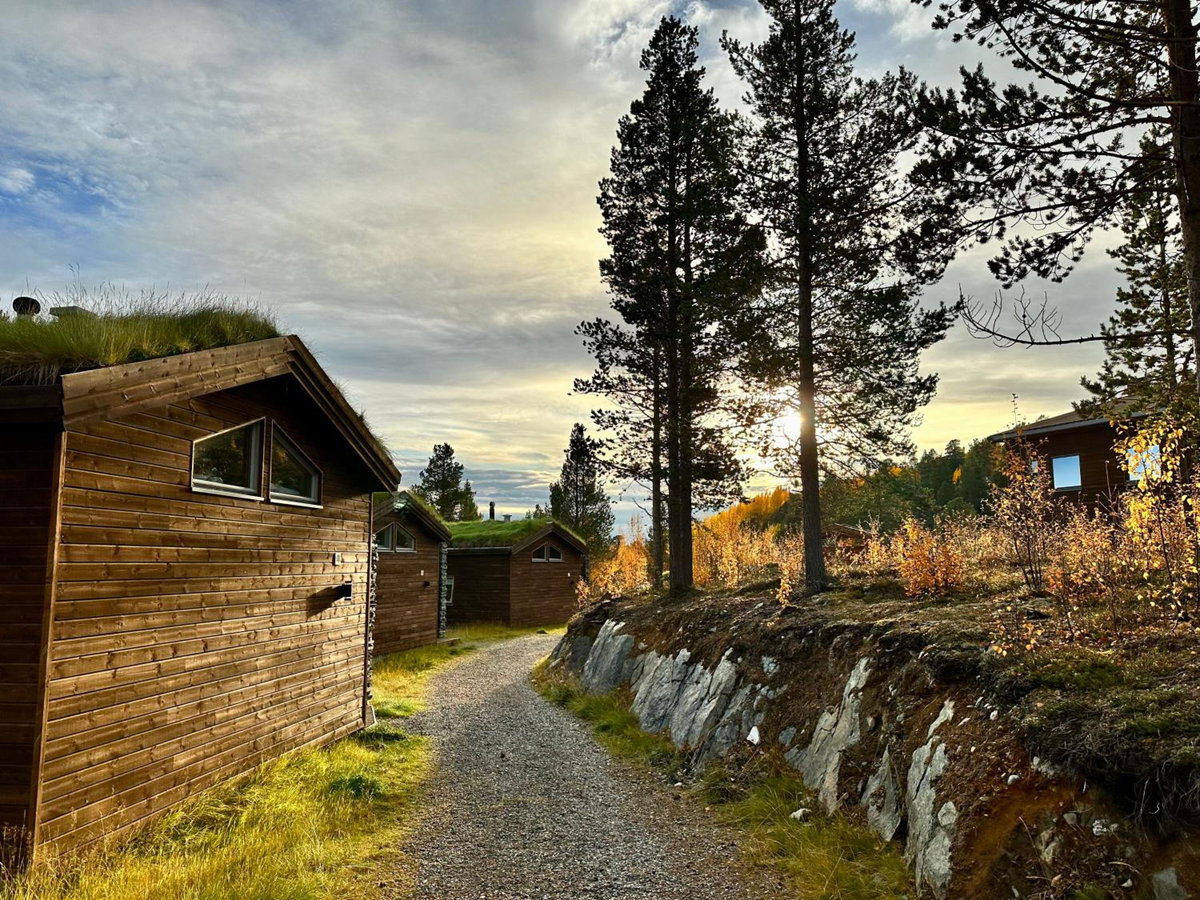 Bjørnfjell Mountain Lodge, Norway