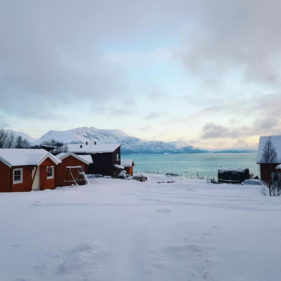 Hotel · Yggdrasil Farmhotel Retreat, Spa & Yoga, Straumsbukta