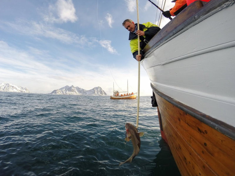 Henningsvær Rorbuer, Henningsvær, Noruega