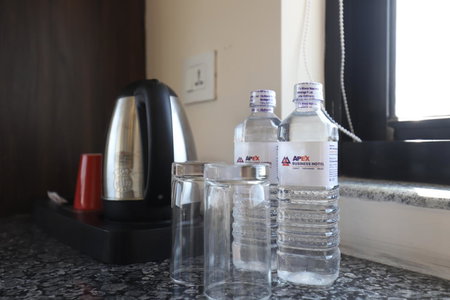 Apex Business Hotel - Tribhuvan International Airport, Kathmandu, Kathmandu, Nepal