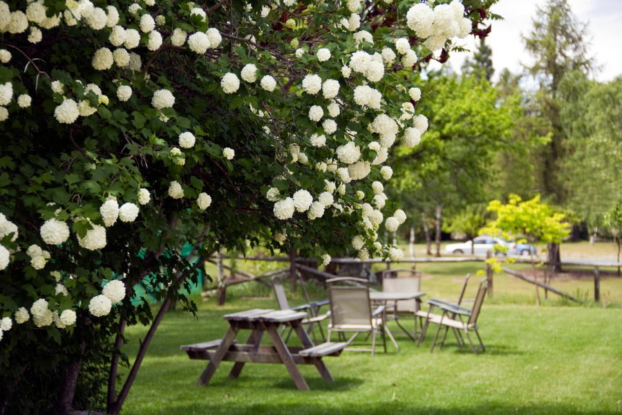 Archway Motels & Chalets, Wanaka, Nueva Zelanda