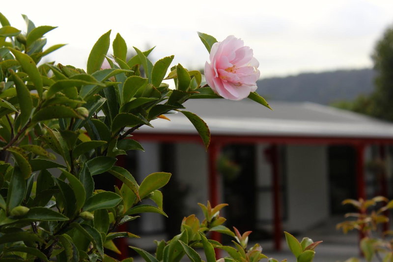 Lake Matheson Motel, Fox Glacier, Neuseeland
