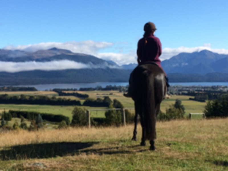Arran Motel, Te Anau, Новая Зеландия