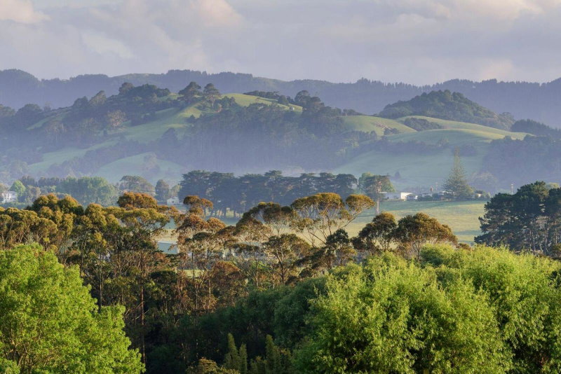 Plume Villas, Matakana, New Zealand