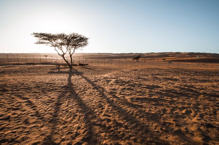 Sama al Wasil Desert Camp, Shāhiq, Omán