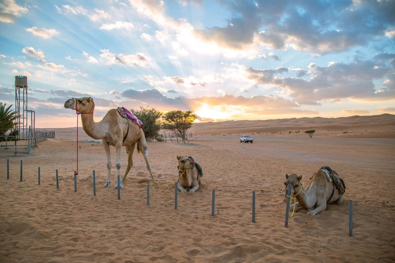Sama al Wasil Desert Camp, Shāhiq, Omán