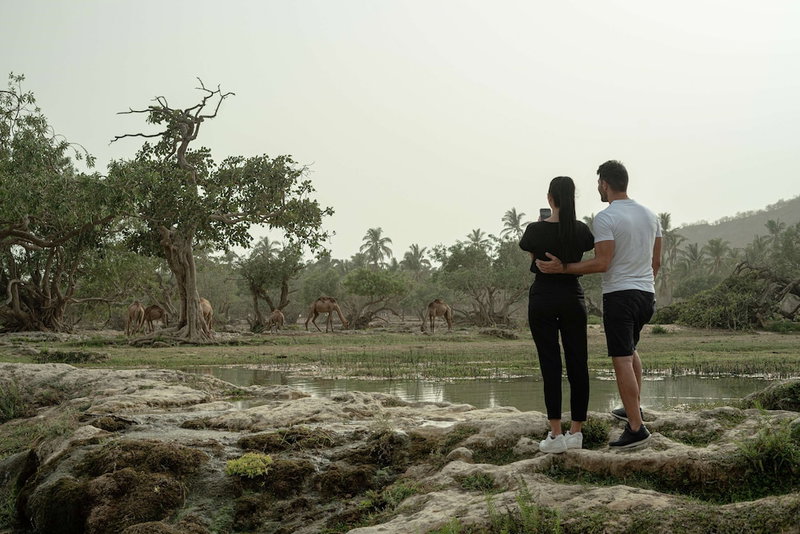 Salalah Rotana Resort, Salalah, Oman
