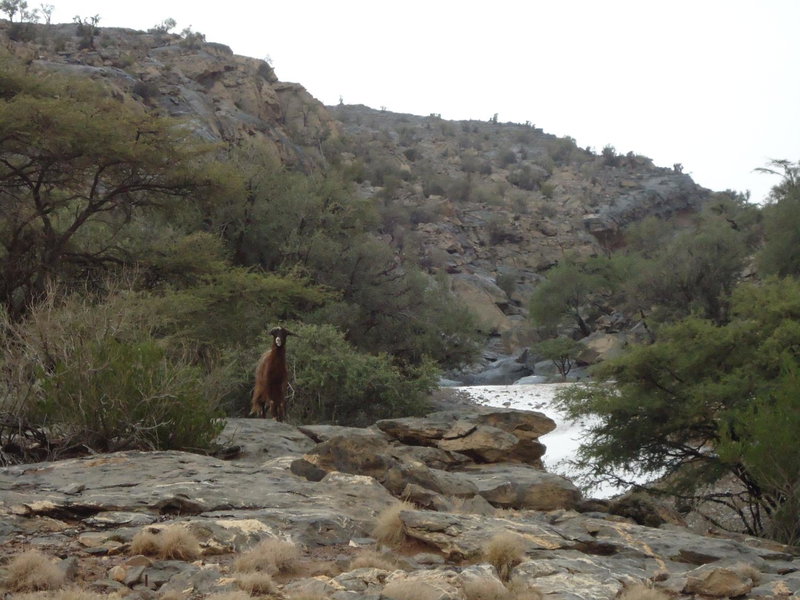 Sama Jabal Shams Resort, Dār Sawdāʼ, Oman
