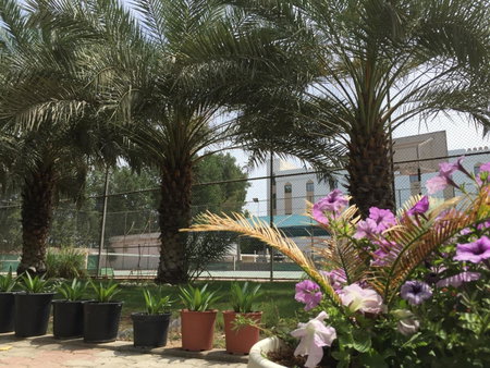 Hotel Al Madinah Holiday, Muscat, Оман