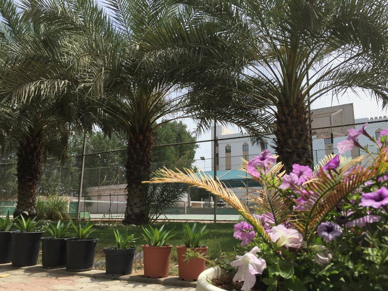 Hotel Al Madinah Holiday, Muscat, Оман