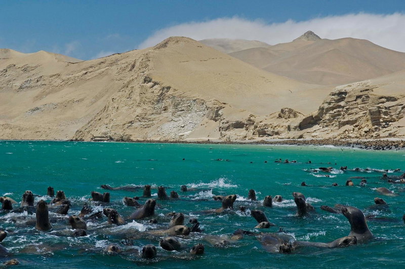 La Hacienda Bahia Paracas, Pisco, Perú