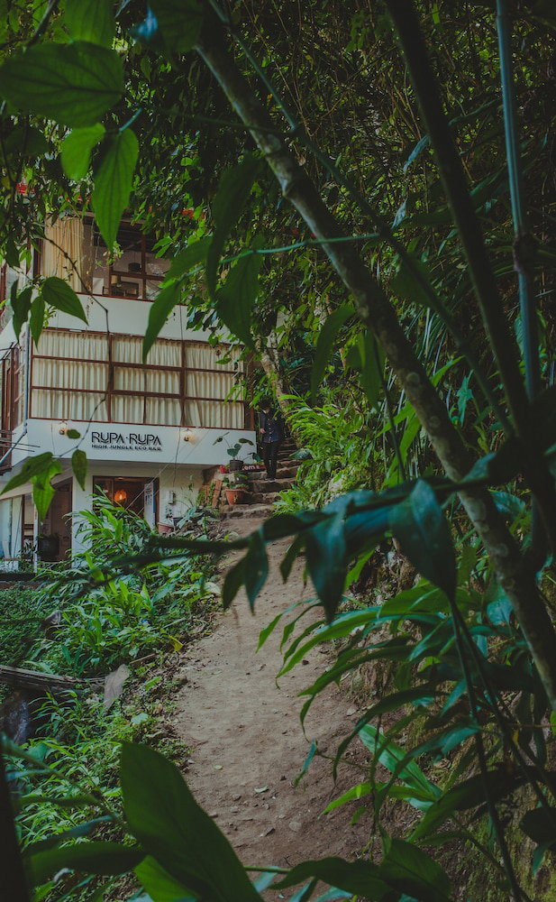 Rupa Rupa High Jungle Eco B&B, Perú