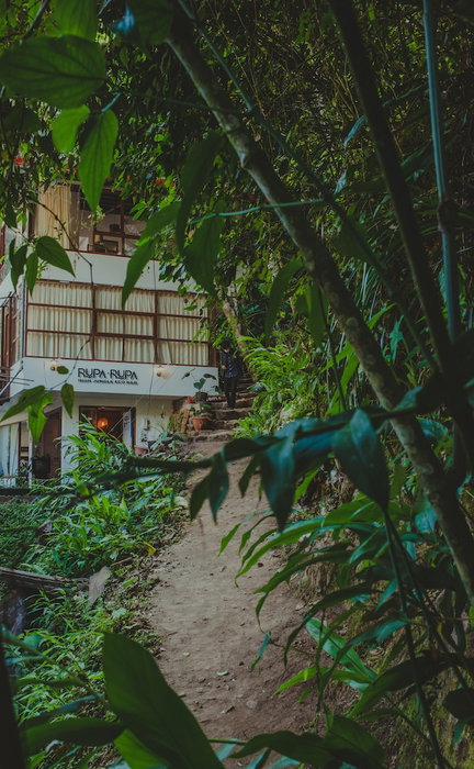Rupa Rupa High Jungle Eco B&B, Machu Picchu, Perú