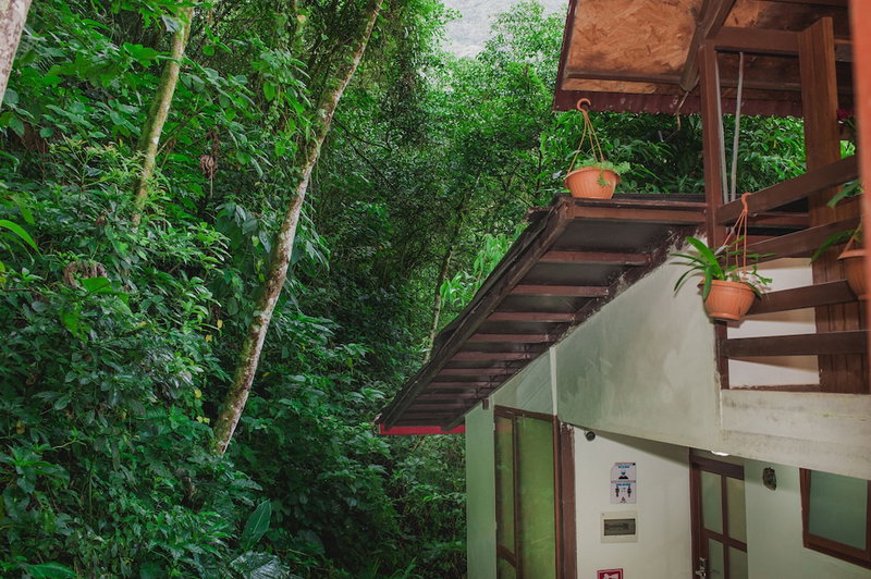 Rupa Rupa High Jungle Eco B&B, Machu Picchu, Perú