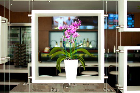 Lyz Business Hotel, San Francisco De Borja, Peru
