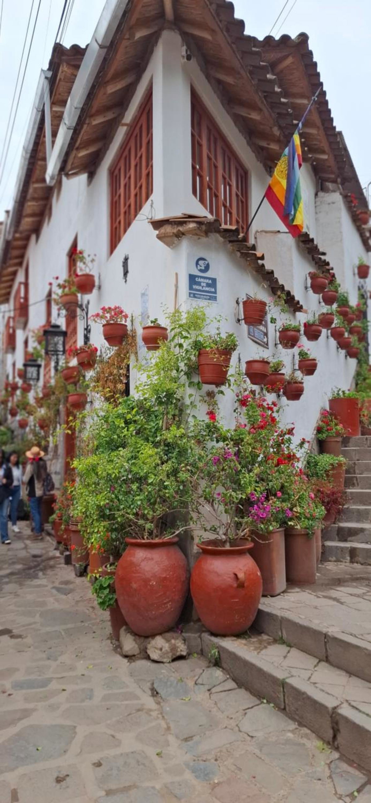 Hotel · Hotel Valle Andino, Santiago