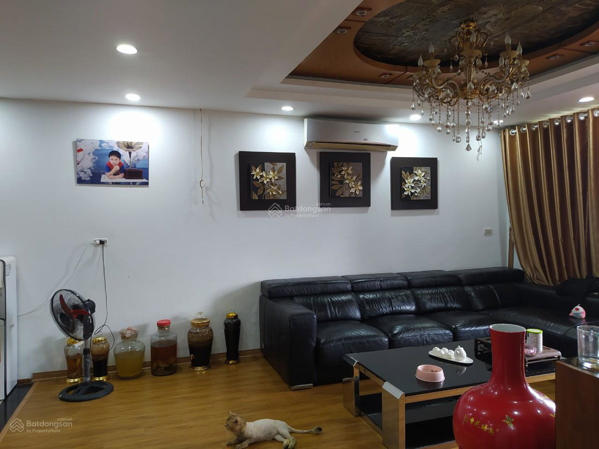 My Dinh I Project, Vietnam