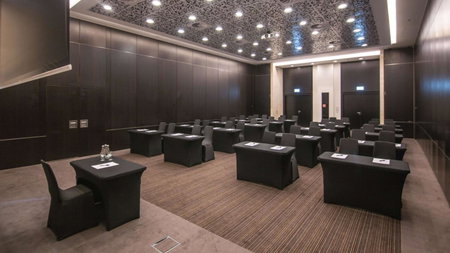 Andersia Hotel & Spa Poznan, a member of Radisson Individuals, Poznan, Pologne