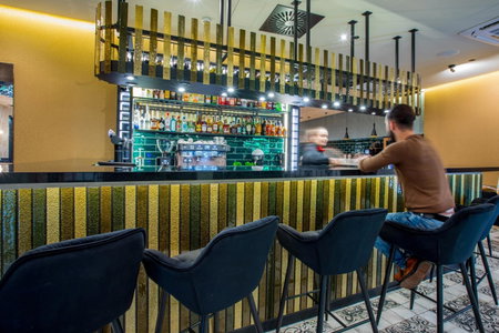 Hotel Diament Plaza Katowice, Katowice, Pologne
