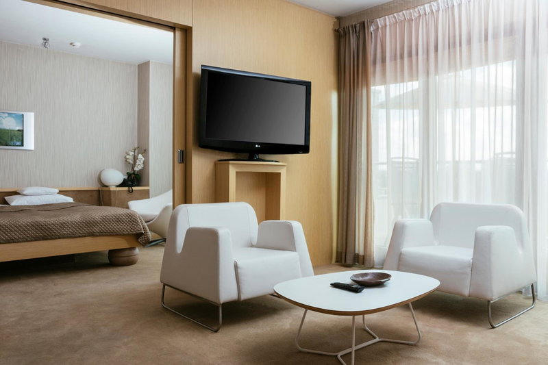 Niebieski Art Hotel & Spa, Krakow, Polonia