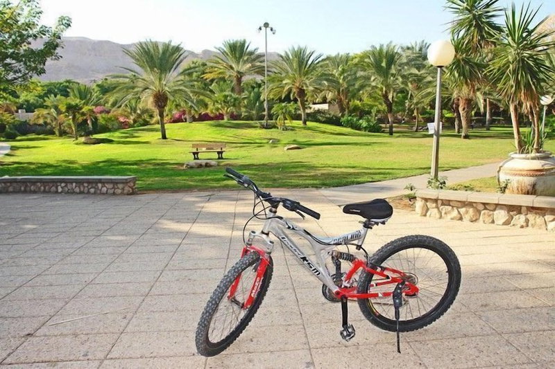 Kalia Kibbutz Holiday Village, Kalya, Palestinian Territory