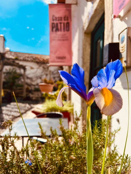 Casa do Patio by Shiadu, Lisbon, Португалия