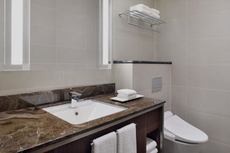 Delta Hotels by Marriott City Center Doha, Doha, Qatar