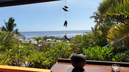 Poz Lagon - chambre d'hôtes - Bungalow pour 2 personnes - Jacuzzi privatif - petit déjeuner - Vue sur le lagon, La Saline les Bains, Reunion