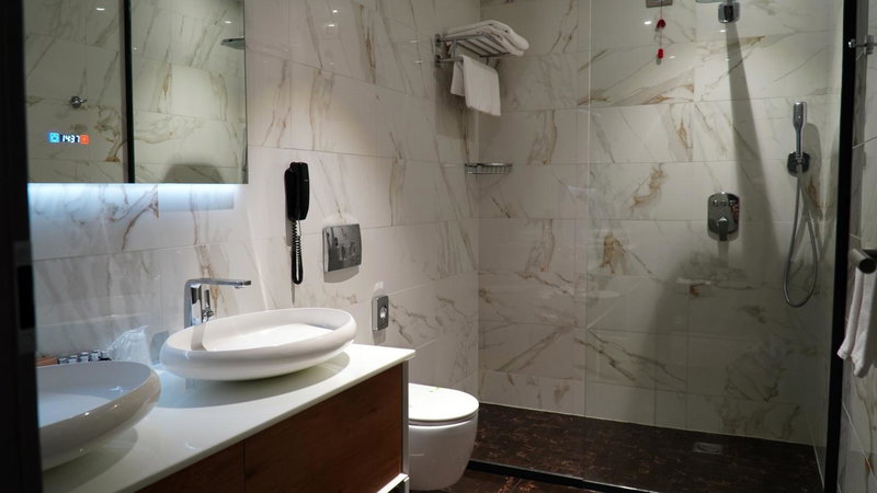 Aniroc Signature Hotel, Arad, Румыния