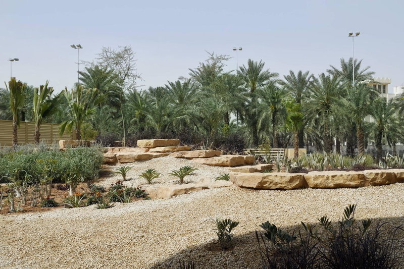 Riyadh Diplomatic Quarter - Marriott Executive Apartments, Riyadh, Arabia Saudita
