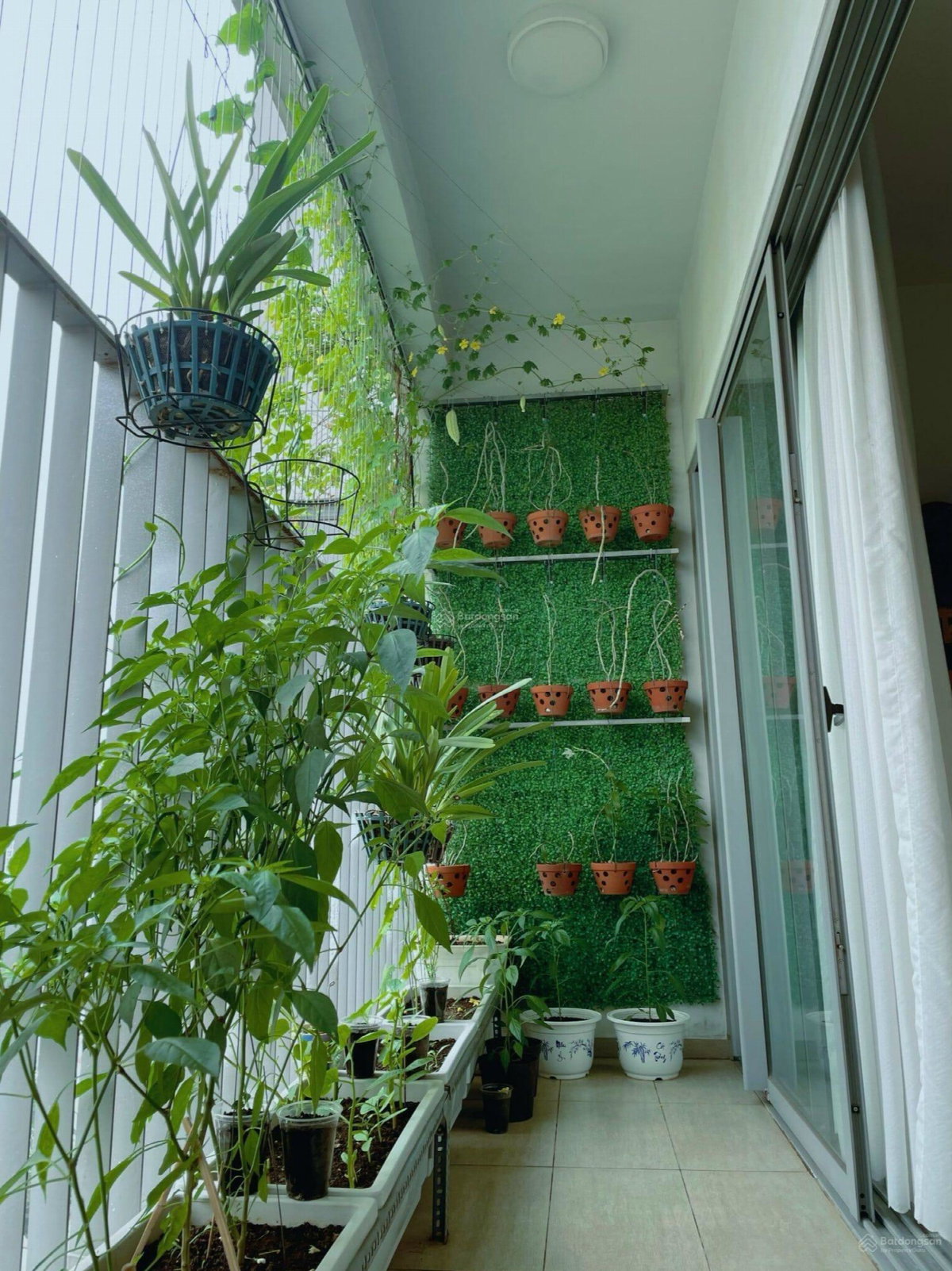 Hausneo Apartment, Viêt Nam