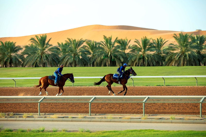 Nofa Riyadh, A Radisson Collection Resort, Ţibrāk, Saudi Arabia