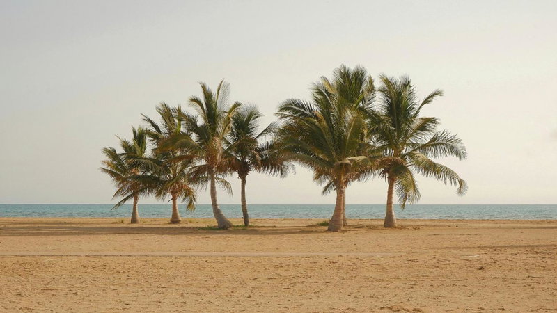 Sariya Hotel, Yanbu, Arabie saoudite