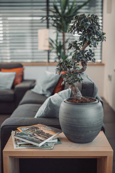 eco boutique hotel AMS Beagle, Bled, Slowenien