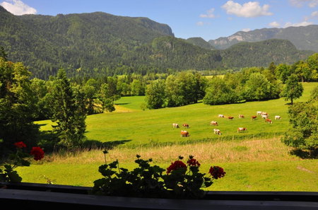 Nature Hotel Lukanc, Kranj, Словения