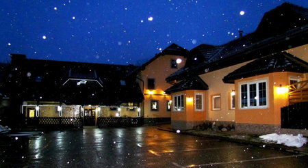Črni Baron Pension Black Baron, Maribor, Словения