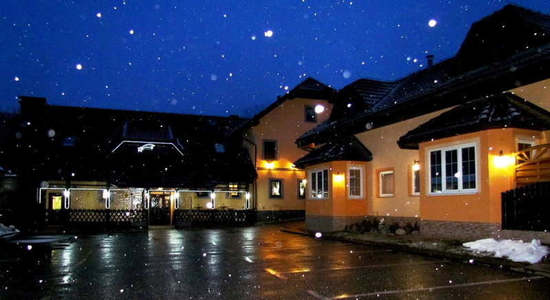 Črni Baron Pension Black Baron, Maribor, Словения