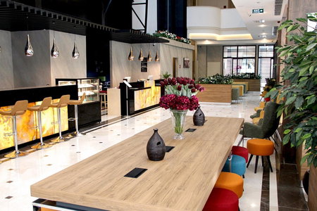 Ramada Encore By Wyndham Istanbul Basin Express, Basaksehir, Turkey