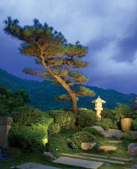 Spring City Resort, Neihu, 台湾