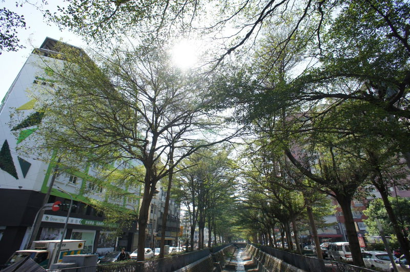 Green Hotel - Fengjia, Taichung, 台湾