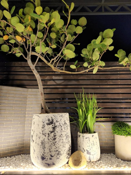 The Retro Tai-Pan, Tainan, 台湾