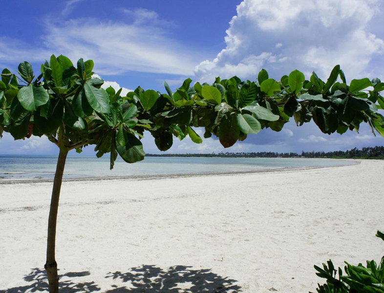 Pongwe Bay Resort, Pongwe, Tansania