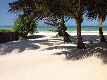 Pongwe Bay Resort, Pongwe, Tansania