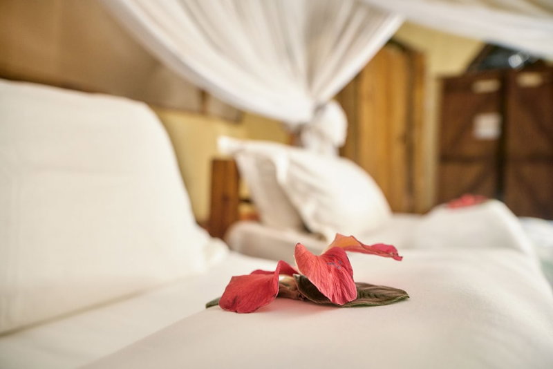 Karama Lodge & Spa, Arusha, Танзания