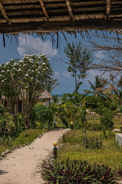 Jaribu Beach Hotel, Paje, Tanzania