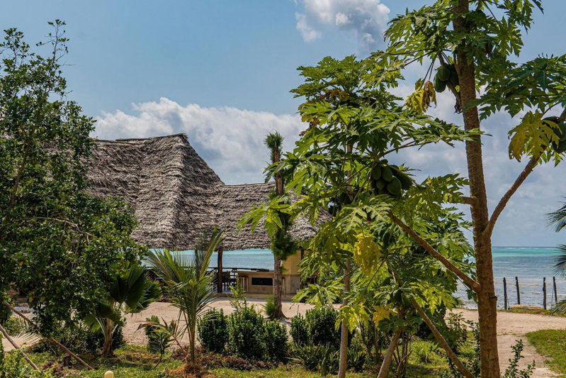 Jaribu Beach Hotel, Paje, Tanzania