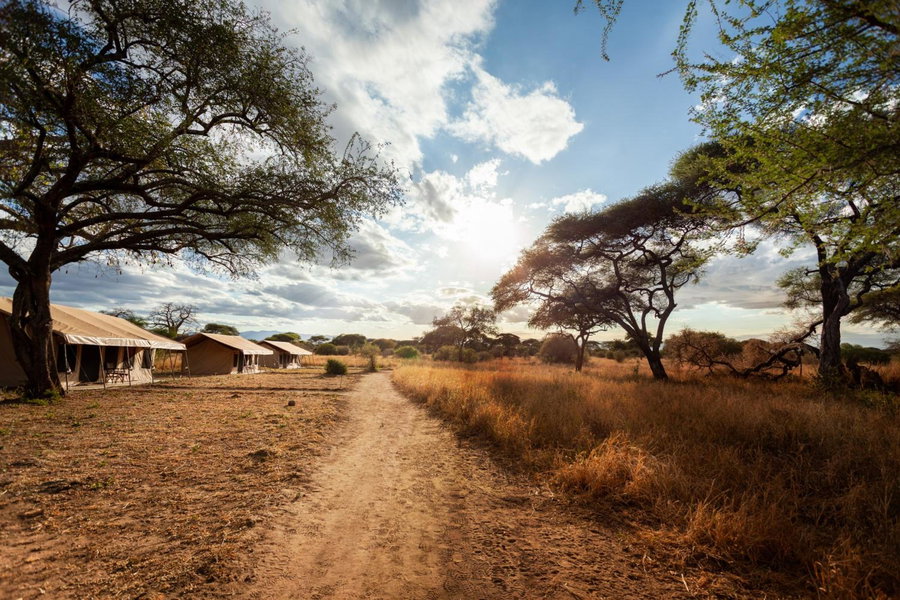 Baobab Tented Camp, Babati, Tanzania