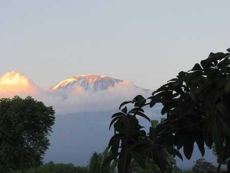 Kilimanjaro White House Hotel, Moshi, Tanzania